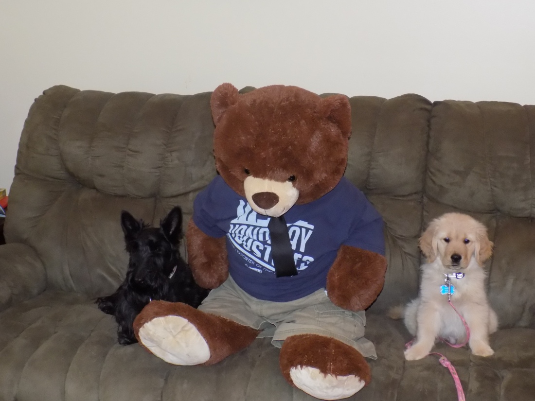 george and mr bear and ainsley 3-19-2016 11-28-27 AM